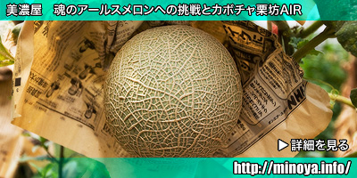 魂のアールスメロン
