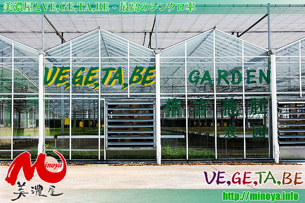 【 VE,GE,TA,BE 】